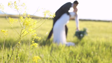 Romantisches-Braut-Bräutigam-Tauchen---Küssen-Bei-Der-Trauung-Am-Hochzeitstag