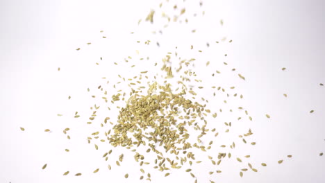 Dried-cumin-seeds-falling-in-slow-motion-and-isolated-on-a-white-surface-to-form-a-pile