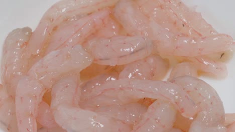 Raw-pink-shrimp-on-white-background,-Closeup-Slow-Pan-Right
