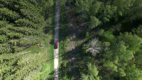 Top-down-drone-footage-following-a-red-car-on-a-narrow-gravel-road-in-a-pine-forest