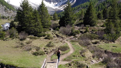 Trekker-Femenino-Caminando-Por-La-Pista-De-Montaña
