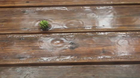 Rain-Pouring-Down-On-Wooden-Deck-Close-Up