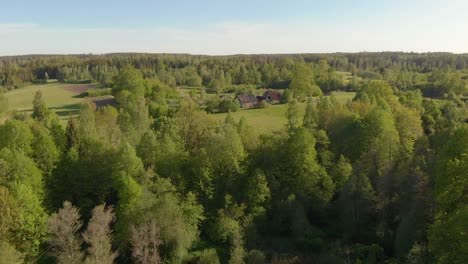 Fast-aerial-over-the-forests-of-the-Latvia-Kurzeme-on-a-sunny-afternoon