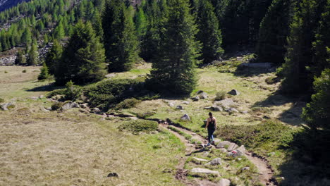 Trekker-Femenino-Caminando-Por-La-Pista-De-Montaña