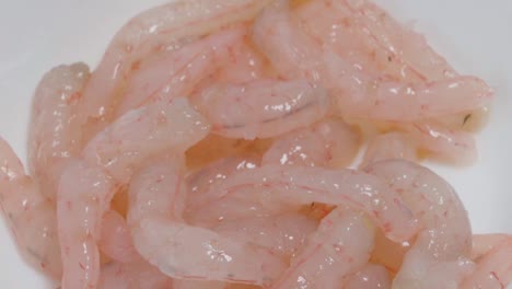 Tilt-Down-of-Uncooked-Pink-Shrimp-on-White-Background,-Closeup
