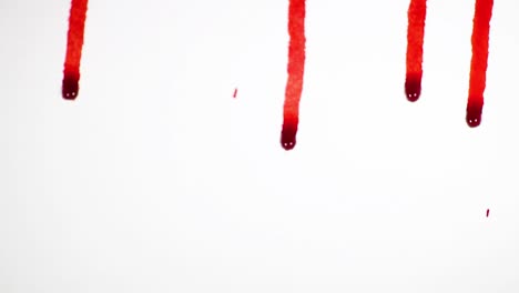 Bluttröpfchen-Auf-Weißem-Hintergrund,-Die-Auf-Die-Weiße-Oberfläche-Tropfen