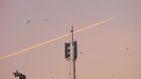 5g-antenna,-Telecommunication-tower-during-dusk,-birds-flying-around-it-and-airplane-contrail