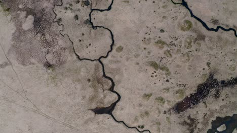 Blick-Direkt-Von-Einer-Drohne-Auf-Ein-Leeres-Wüstensumpfgebiet-In-Island-Mit-Kleinen-Plätschernden-Bächen