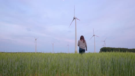Young-female-is-walking-through-grain-field-with-high-grass-towards-big-windmills-for-renewable-energy-technology-park-with-tall-turbines-in-dutch-farmland-low-shot-4k