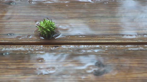 Rain-Pouring-Down-On-Wooden-Deck-and-Sweet-Gum-Tree-Ball