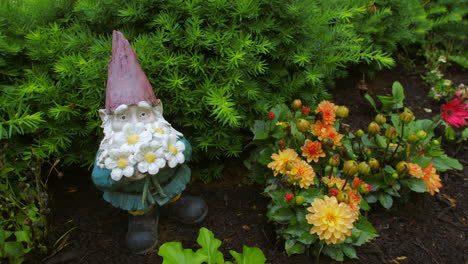 A-garden-gnome-with-flowers-and-surrounded-by-bushes-outside-in-a-garden