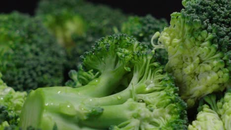 Fresh-broccoli-pieces-on-black-background,-Extreme-Closeup-Pan-Right