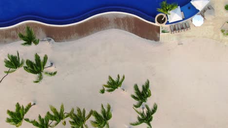 AERIAL-DIRECTLY-ABOVE-Palm-Trees-And-Resort-Beachfront-Swimming-Pools