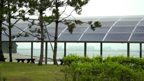 Paneles-Solares-Instalados-En-El-Techo-De-Un-Cobertizo-Cerca-Del-Mar-En-Corea-Del-Sur---Plano-Medio