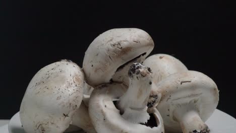 Tilt-Down,-Common-Button-Mushrooms-on-White-Plate-with-Black-Background