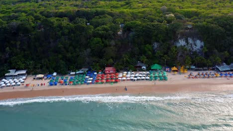 Wunderschöne-Drohne-Aus-Der-Luft,-Die-Den-Tropischen-Strand-Praia-Do-Madeiro-Mit-Farbenfrohen-Sonnenschirmen-In-Der-Nähe-Der-Berühmten-Stadt-Pipa-Im-Norden-Brasiliens-Hochkippt