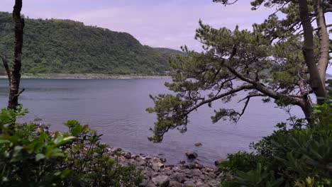 Blick-Auf-Einen-Ruhigen-Ozean-Zwischen-Felsen-Und-Bäumen-Mit-üppigen-Bergen-Im-Hintergrund-An-Der-Jogasaki-Küste-In-Shizuoka,-Japan