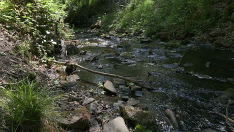 Water-flowing-down-stream-at-Gorpley-Clough-woods,-in-West-Yorkshire
