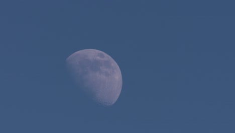 Half-moon-moving-slowly-across-a-blue-sky
