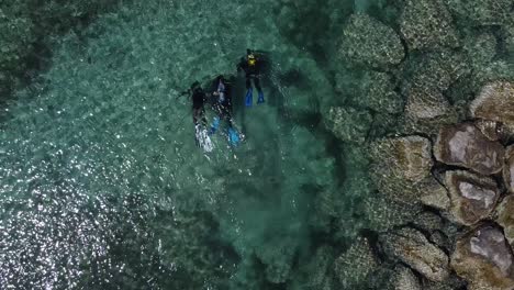 A-bird's-eye-view-of-scuba-divers-in-shallow-water