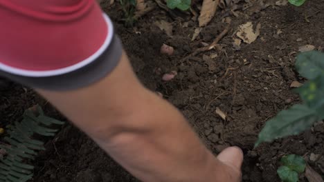 Ein-Farmer-Sucht-Nach-Würmern-Und-Gräbt-Mit-Beiden-Händen-Im-Erdboden,-Der-Gut-Für-Seine-Kaffeebohnenplantage-Ist-Seine-Hand-Ist-Schmutzig-Und-Voller-Sand-In-Kolumbien-Farmlands-Slowmotion