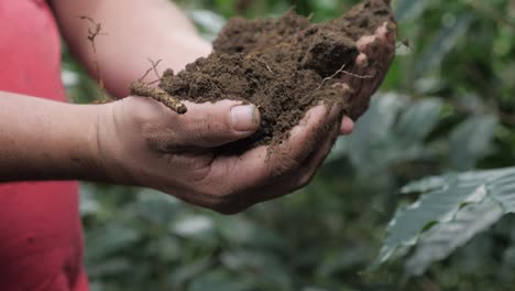 A-farmer-gardener-shows-a-pile-of-dirt-ground-he-is-holding-with-both-hands-that-is-good-for-his-plantation-agriculture-of-coffee-beans-in-farmlands-of-Colombia-slowmotion