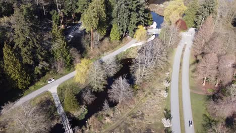 Aerial-pan-down-dolly-rool-zoom-fly-over-quiet-walkways-with-people-crossing-with-bikes-and-groups-walking-on-bridges-Lost-Lagoon-stream-in-Stanley-Park-Vancouver-BC-Canada