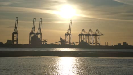 Silhouette-shipping-port-cargo-loading-cranes-on-shimmering-sunrise-water-one-of-five