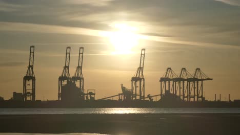 Silhouette-shipping-port-cargo-loading-cranes-on-shimmering-sunrise-water-three-of-five