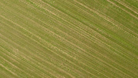 Aerial-drone-landscape-above-and-towards-green-field