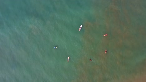 Bird's-eye-top-aerial-drone-shot-of-surfers-resting-on-their-boards-waiting-for-a-wave-on-the-tropical-beach-Praia-do-Madeiro-near-Pipa-in-Northern-Brazil