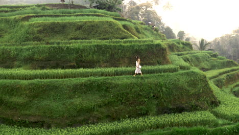 Tourist-Walking-On-A-Terrace-At-A-Breathtaking-Rice-Field,-Bali