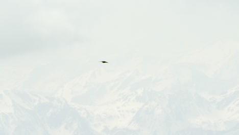Großer-Schwarzer-Vogel-In-Zeitlupe,-Der-Im-Winter-über-Schneebedeckte-österreichische-Berge-Fliegt