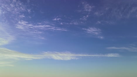 Viele-Schnelle-Schwalbenvögel-Fliegen-Schnell-über-Eine-Ruhige-Wolkenszene-Mit-Blauem-Himmel