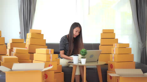 Woman-cheering-behind-laptop-amidst-cardboard-packages.-Static