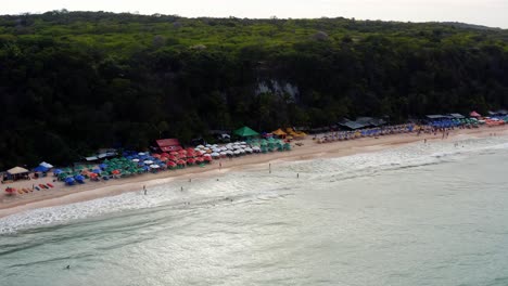 Wunderschöne,-Breite-Luftdrohnenaufnahme-Des-Tropischen-Strandes-Praia-Do-Madeiro-Mit-Bunten-Sonnenschirmen-Und-Touristen,-Die-In-Der-Nähe-Der-Berühmten-Stadt-Pipa-Im-Norden-Brasiliens-Schwimmen-Und-Surfen