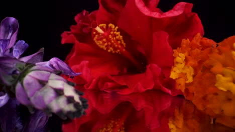 Makroansicht-Vorbei-An-Bunten-Blumen-Auf-Reflektierendem-Glas-Und-Schwarzem-Hintergrund