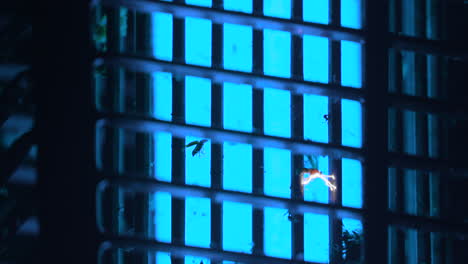 Insect-Flying-From-Foreground-Getting-Killed-In-A-Bug-Zapper