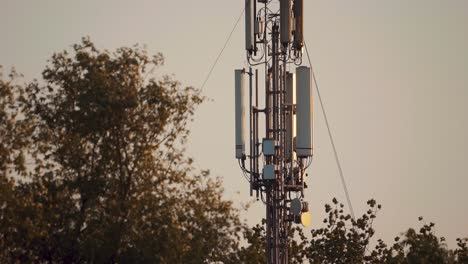 View-Of-Mobile-Telecommunications-Mast-With-Defocused-Trees-In-The-Foreground