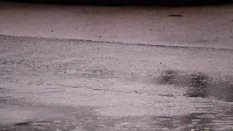 Car-Tires-Roll-Down-Wet-Street-While-Raining-Close-Up