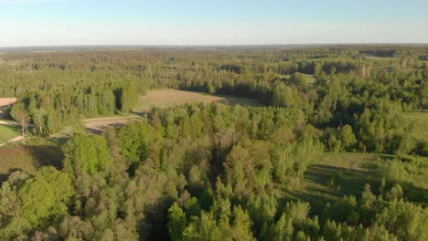 Drone-flyes-forward-on-sunny-peaceful-northern-Europe-countryside-park