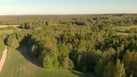 Drone-flyes-forward-over-green-field-in-spring,-northern-Europe-landscape