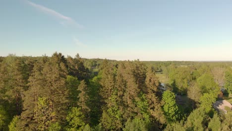 Drone-flying-above-trees-in-peaceful-natural-park-on-sunny-day,-Latvia