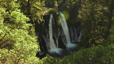 Waterfall-hidden-in-beautiful-tropical-rainforest-in-McArthur-Burney-Falls-State-Park