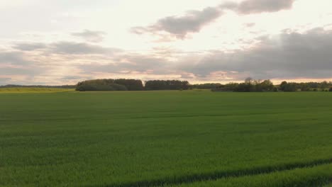 Abendhimmel-Dämmerung-Kurland-Lettland-Gerstenfelder-Antenne