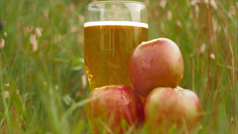 Apples-surround-full-pint-glass-of-sparkling-cider-in-field,-low-close-up