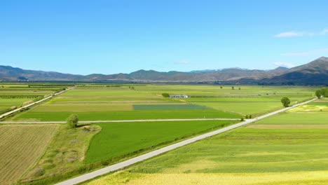 Impresionante-Paisaje-Con-Plantación-Amarilla-Verde-Bordeada-Por-El-Horizonte-De-Las-Montañas-En-El-Cielo-Azul-Brillante-De-La-Mañana