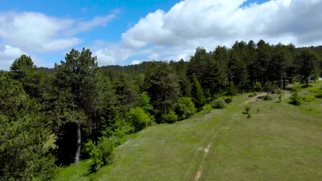 Bosque-De-Pinos-Y-Prado-De-Hierba-Verde-En-Hermosas-Montañas-Tranquilas-Con-Fondo-De-Cielo-Nublado