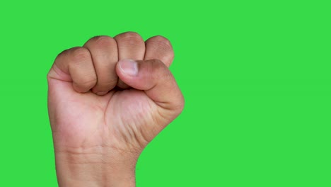 Hand-of-an-Asian-man-forms-Fist-isolated-on-a-green-screen-background