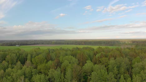 Midsummer-countryside-afforested-Courland-Latvian-lands-aerial